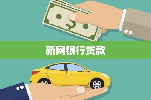 金州新区新网银行贷款